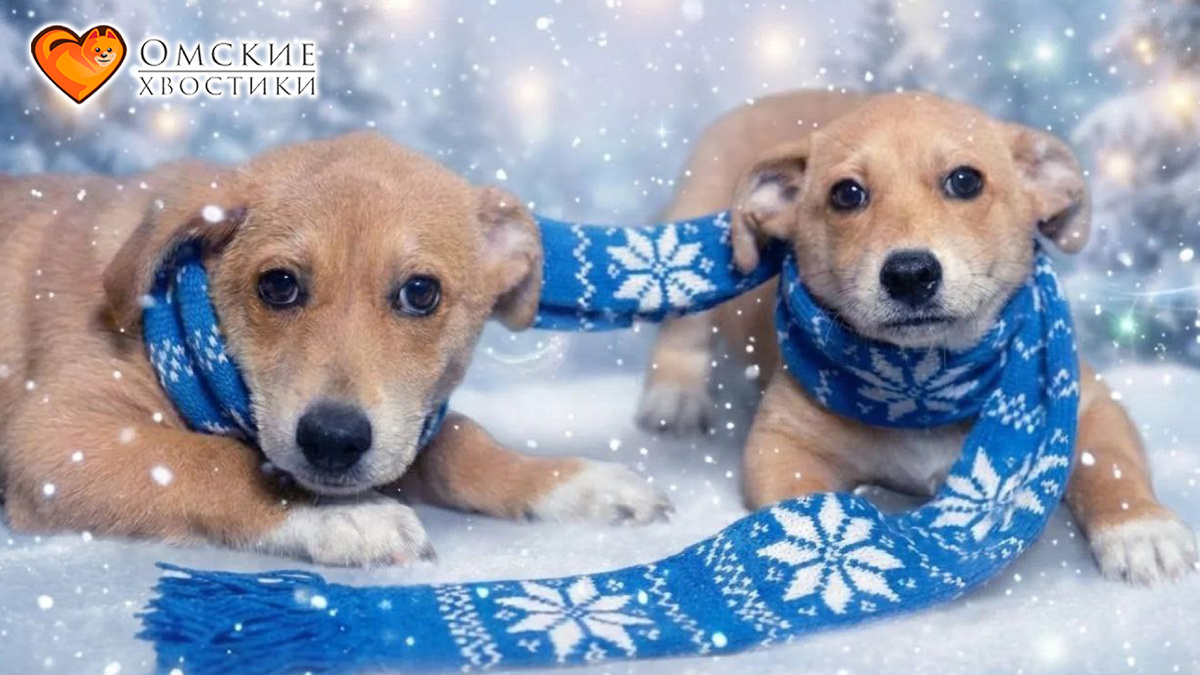 Этот кроха вырастет именно таким, каким захотите вы сами...