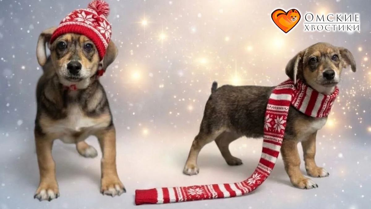 Ваш визит — это целое событие для каждого малыша!