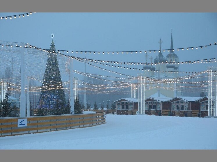     Фото: пресс-служба мэрии Воронежа
