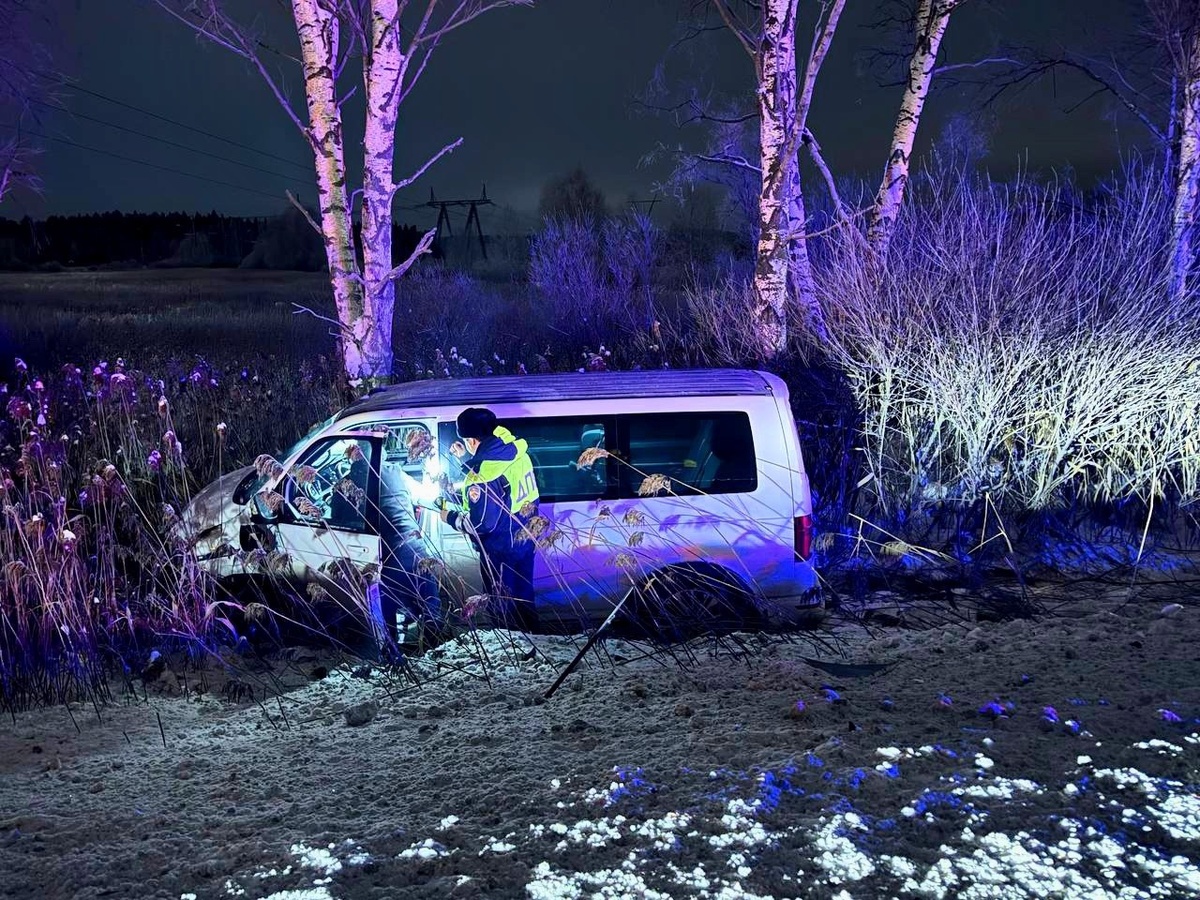     Фото: Госавтоинспекция Свердловской области