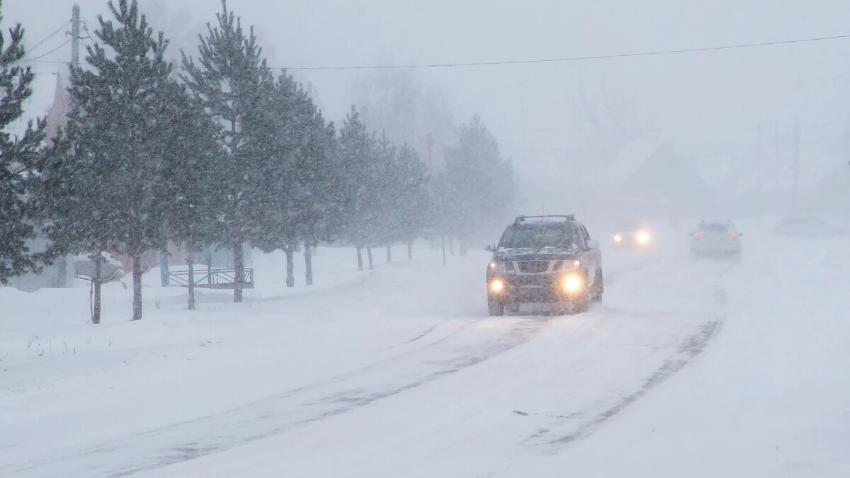    Фото: vitec/Shutterstock/Fotodom