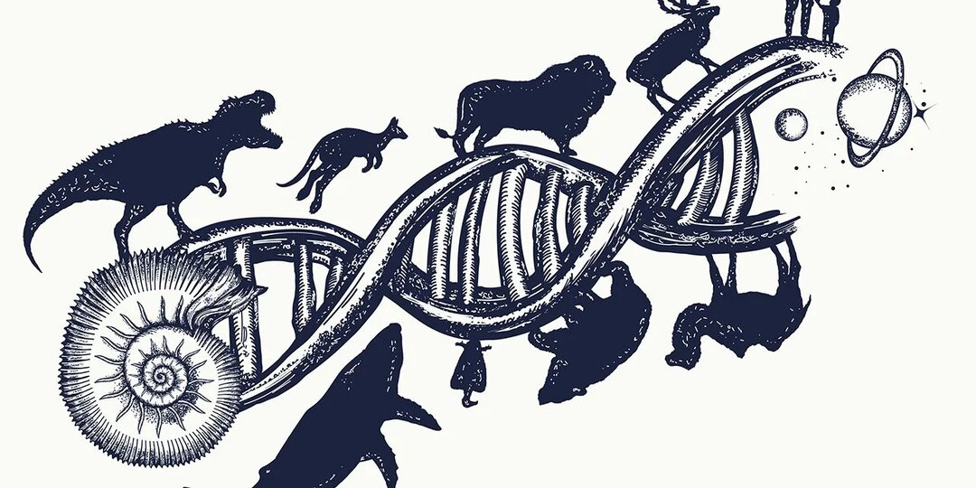 Разум — ошибка эволюции?