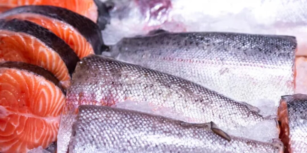 Камчатка в 2025 году увеличила экспорт рыбы за рубеж до 50 тысяч тонн