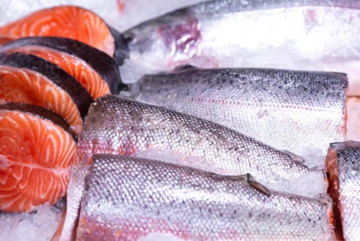    Камчатка в 2025 году увеличила экспорт рыбы за рубеж до 50 тысяч тонн