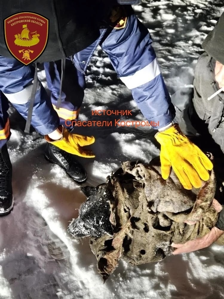    Спасатели Костромской области