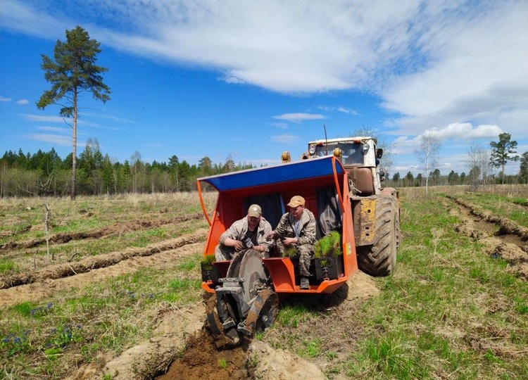 В 2026 году в Башкортостане построят крупный тепличный комплекс для производства саженцев лесных культур