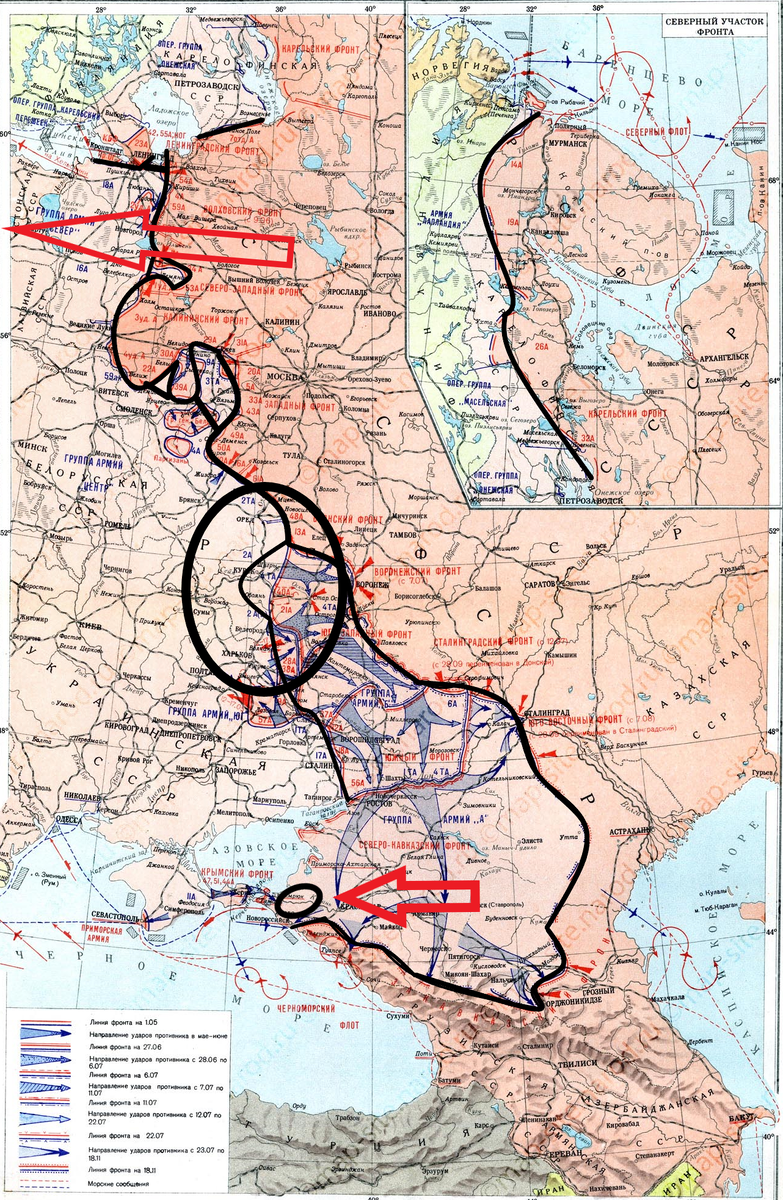 (Фото взято из открытых источников).