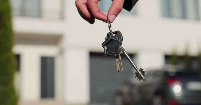 Обложка © Shutterstock / FOTODOM / AlpakaVideo