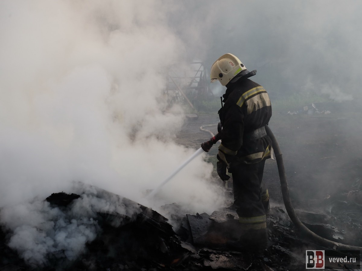     Фото: Владислав Постников / Вечерние ведомости
