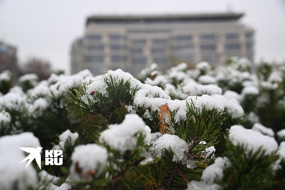    Облачная погода и небольшой снег ожидаются в Москве 3 января Иван МАКЕЕВ
