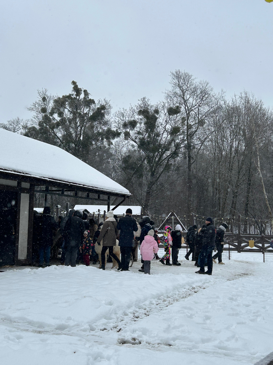 Как это выглядит со стороны.