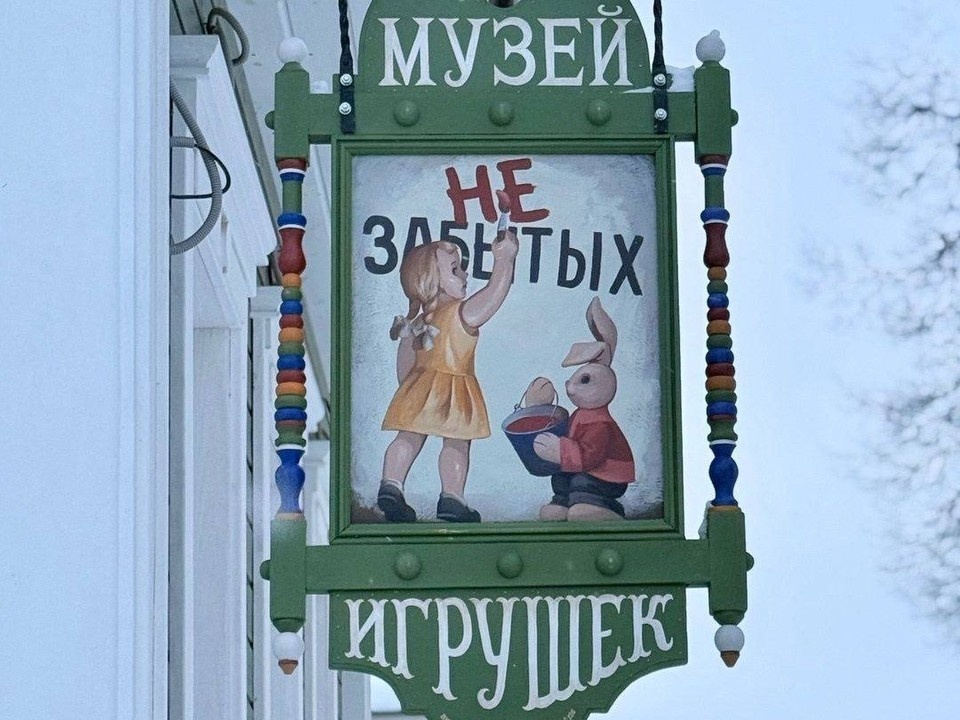    Фото со страницы Правительства Владимирской области в ВК.