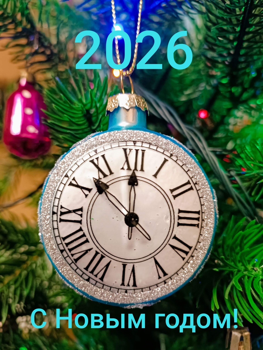 Новый год вступил в свои права