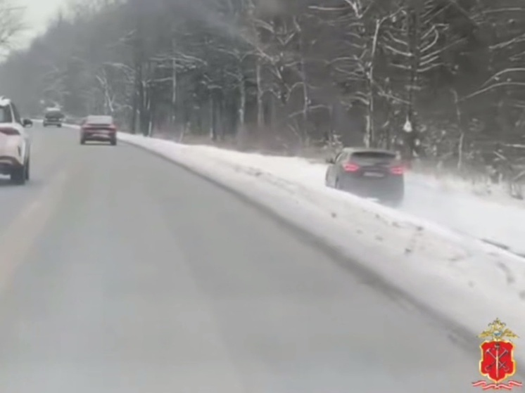    Женщину привлекли к административной ответственности. Фото: скриншот с видео ГУ МВД России по Северной столице и области