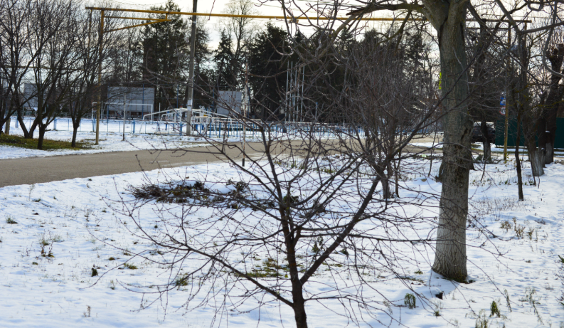 Фото автора. 03.01.2026. Новогодняя станица.