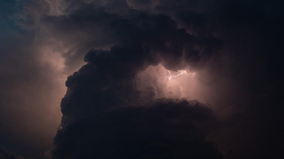 Фото: Олег Харсеев / Коммерсантъ