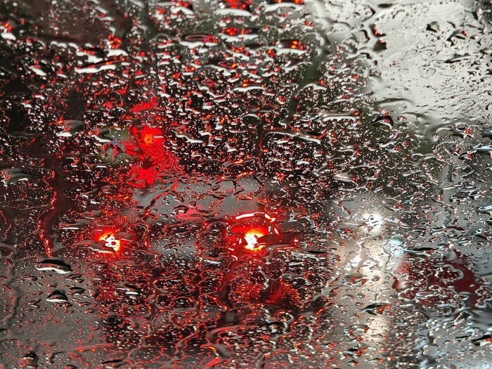    Фото: Юрий Серебренников/BFM Кубань