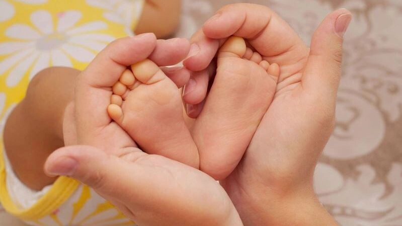    Фото: MariAngelPhoto/Shutterstock/Fotodom