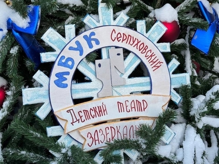     Фото: соцсеть «ВКонтакте», театр «Зазеркалье»