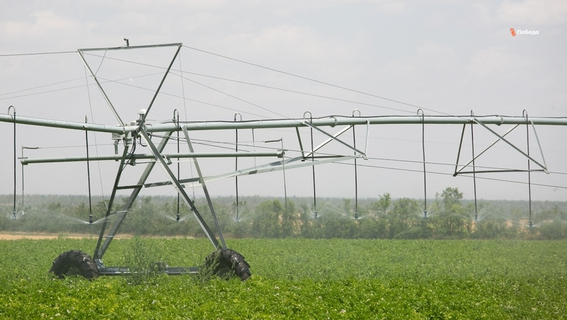      Фото: Валерия Алтухова / / ИА «Победа26»
