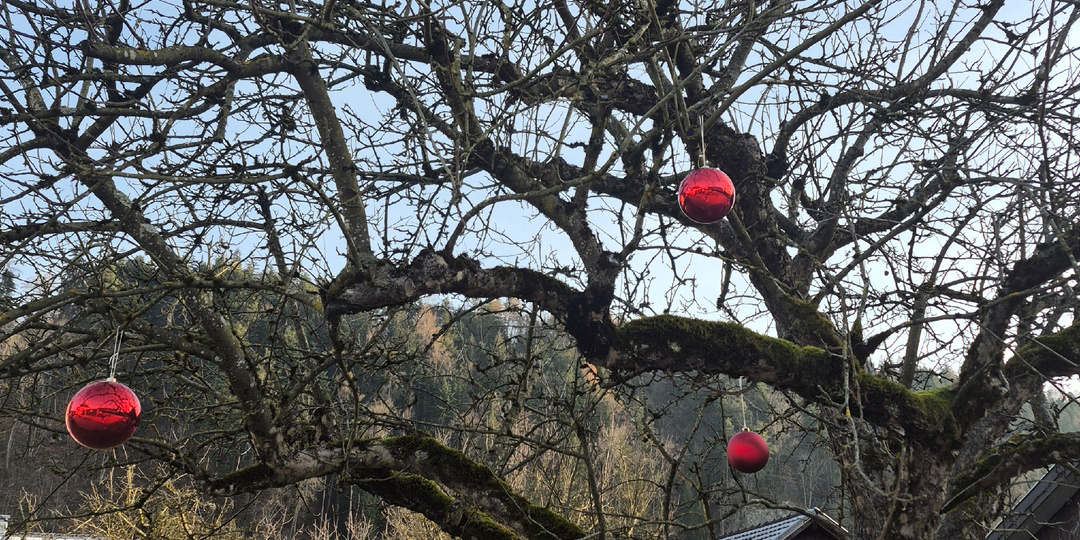 Прогулка по Ранквайлю в солнечный зимний денёк