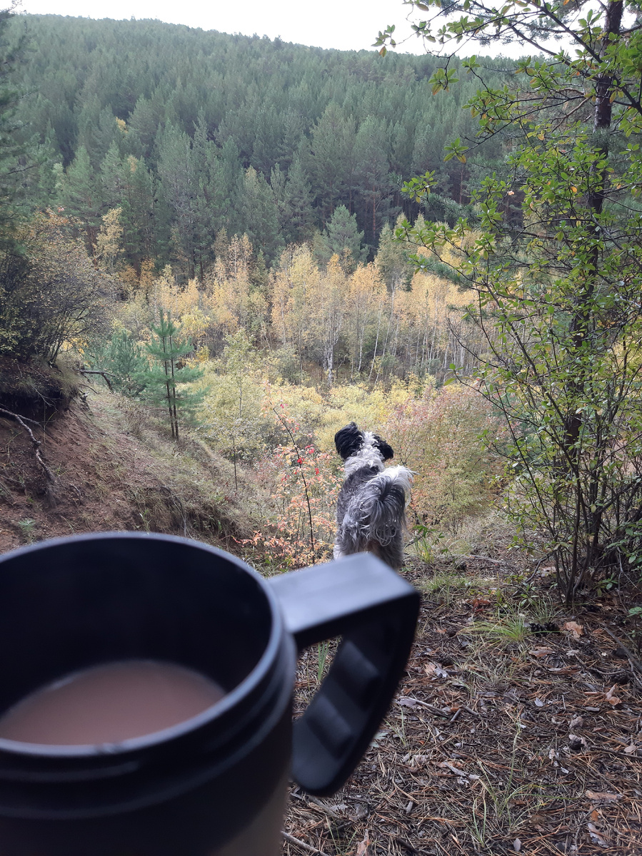 В осенюю хмурость тепло изнутри