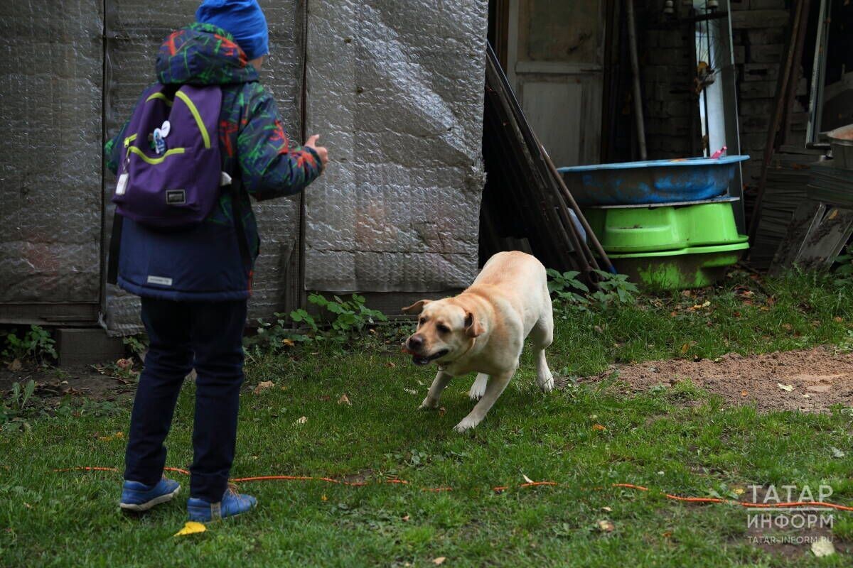 Фото: «Татар-информ»