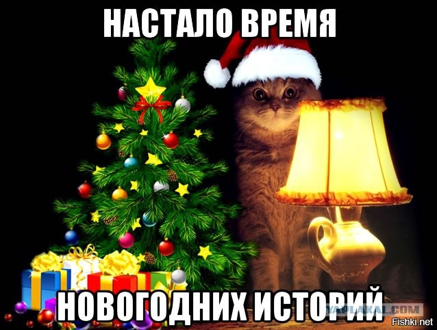 Фото Новогодние истории