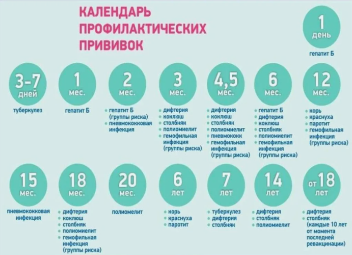календарь прививок из открытых источников