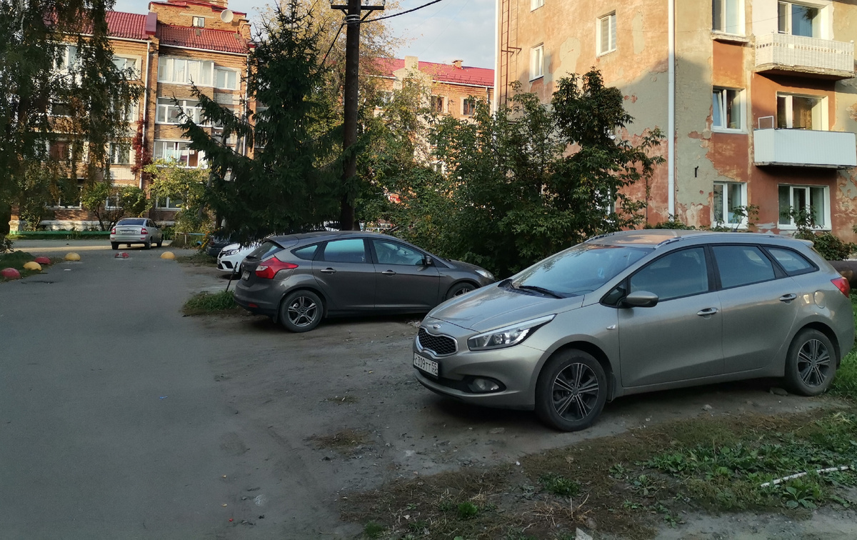 Фото 2025 год