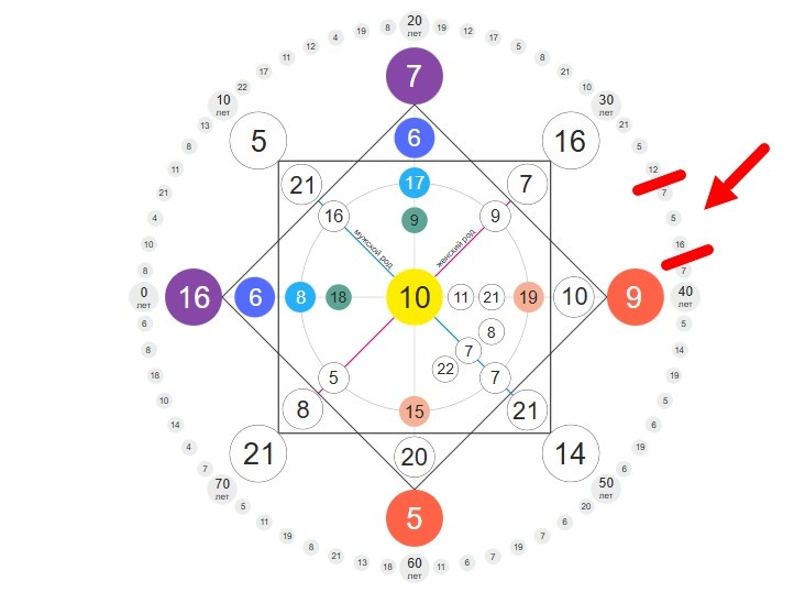 Полина Диброва 16 июля 1989