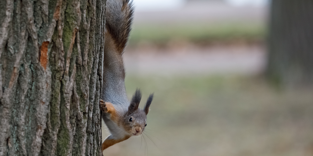 Придумайте подпись к фото. Ваши варианты ждем в комментариях⬇