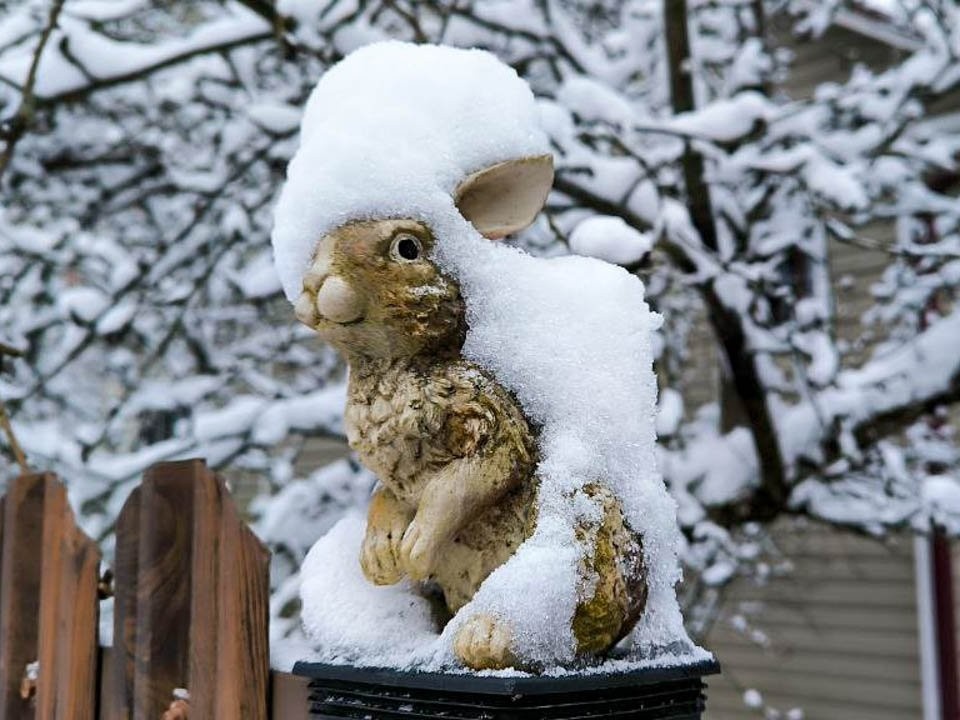    Фото: REGIONS/Роман Малышенко