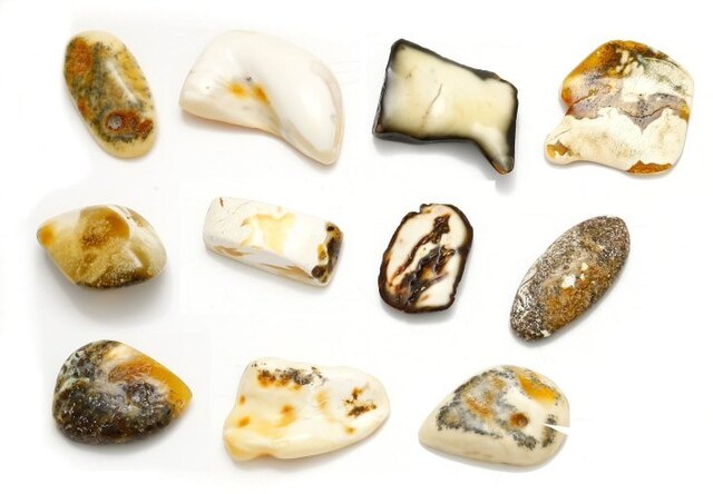 Балтийский янтарь. Фото является общественным достоянием.