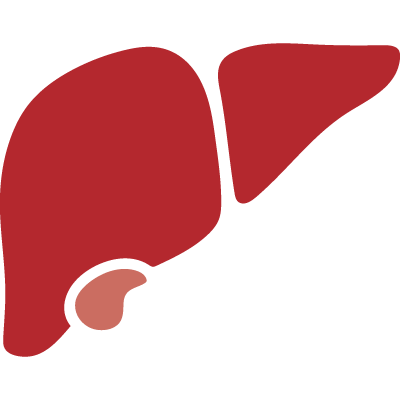 Жирная диета даёт раку печени опасную фору — показало исследование