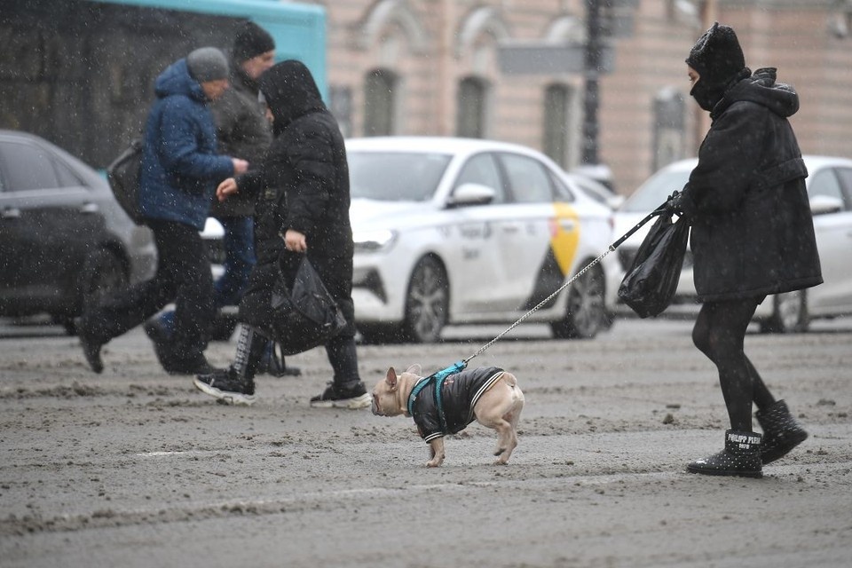    Ожидаются сильный ветер и гололед 3-4 января. Алексей БУЛАТОВ