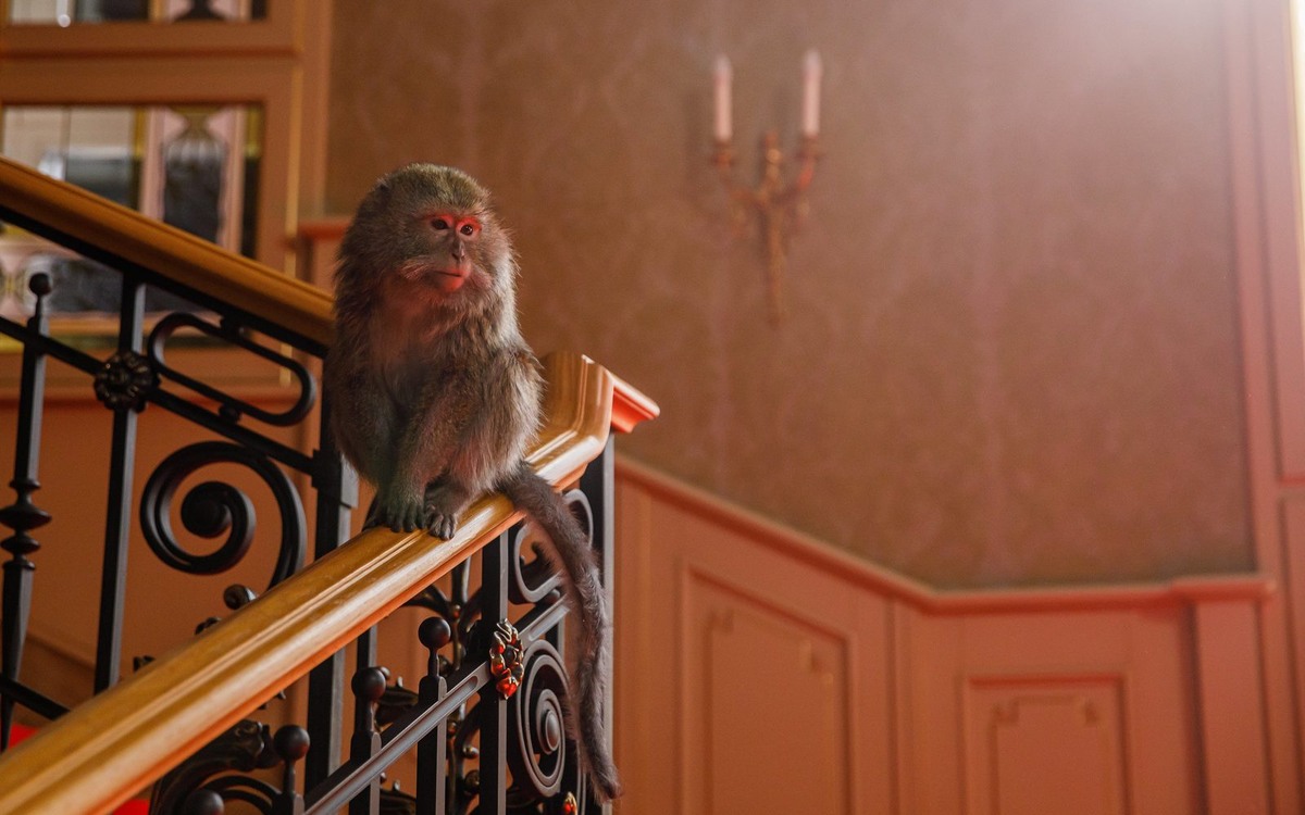 Кадр из «Возвращения попугая Кеши»