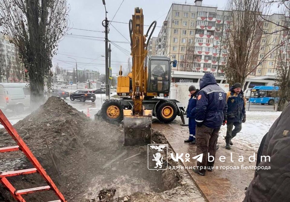    Фото: пресс-служба мэрии Белгорода