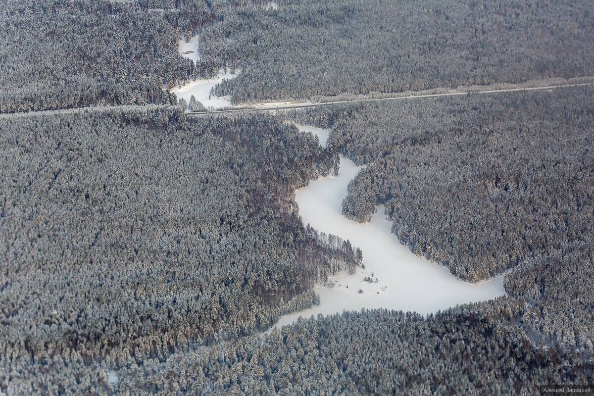Фото: канал Дениса Паслера в Max