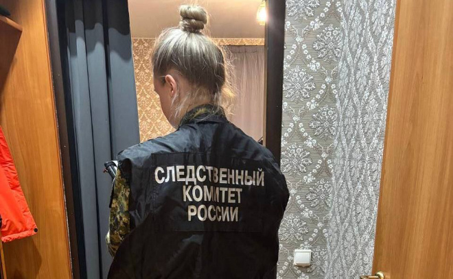    © Пресс-служба СУ СКР по Ленинградской области