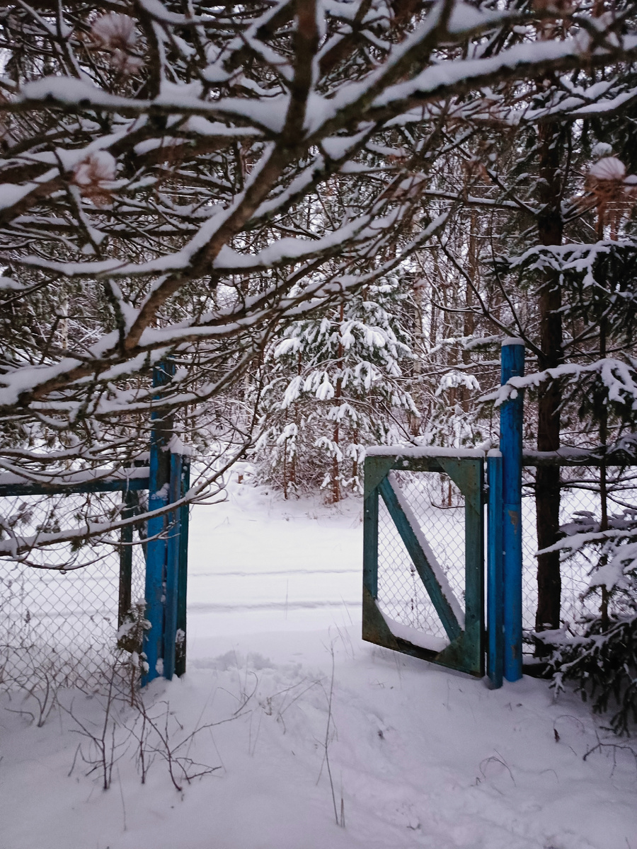 Фото автора