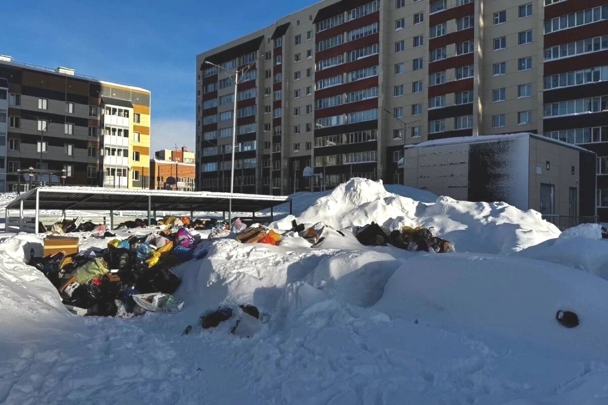    «Сплошная помойка!»