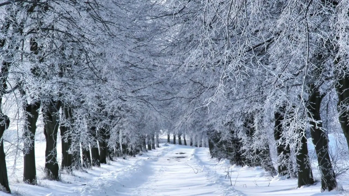 фото из соцсетей