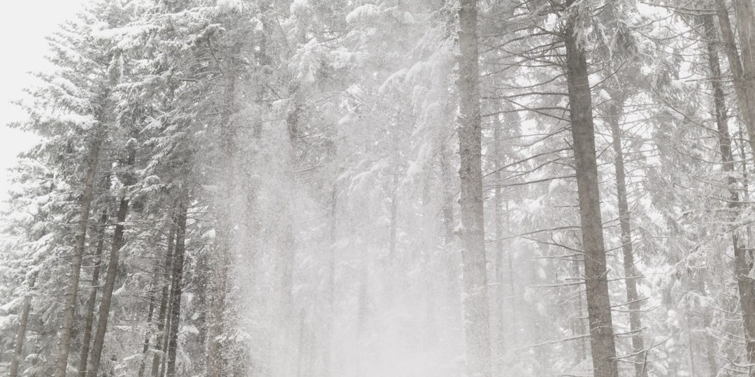 Воронежцев предупредили о метели и сильном ветре ночью 4 января