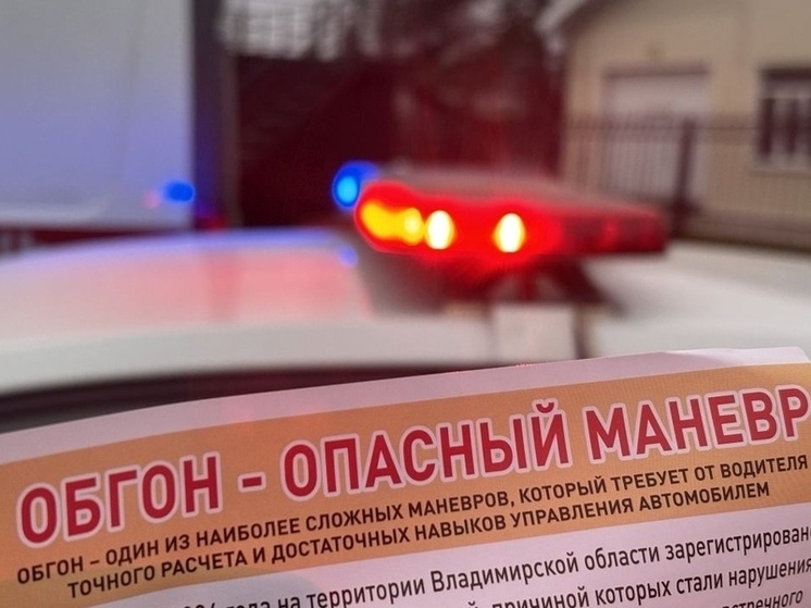     фото: УМВД России по Владимирской области / ВК