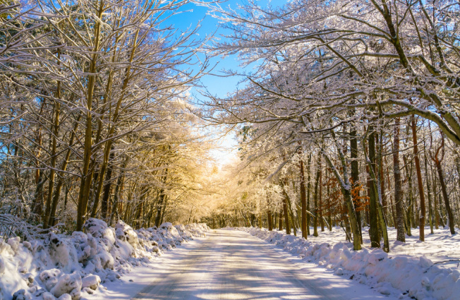   Image by jannoon028 on Freepik