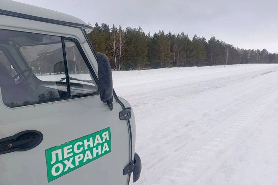    Организовали круглосуточное патрулирование земель лесного фонда и охотничьих угодий. Фото: правительство Новосибирской области