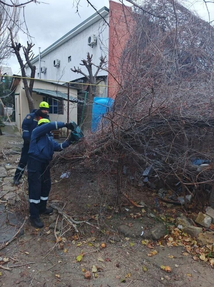     Фото: МЧС Крыма