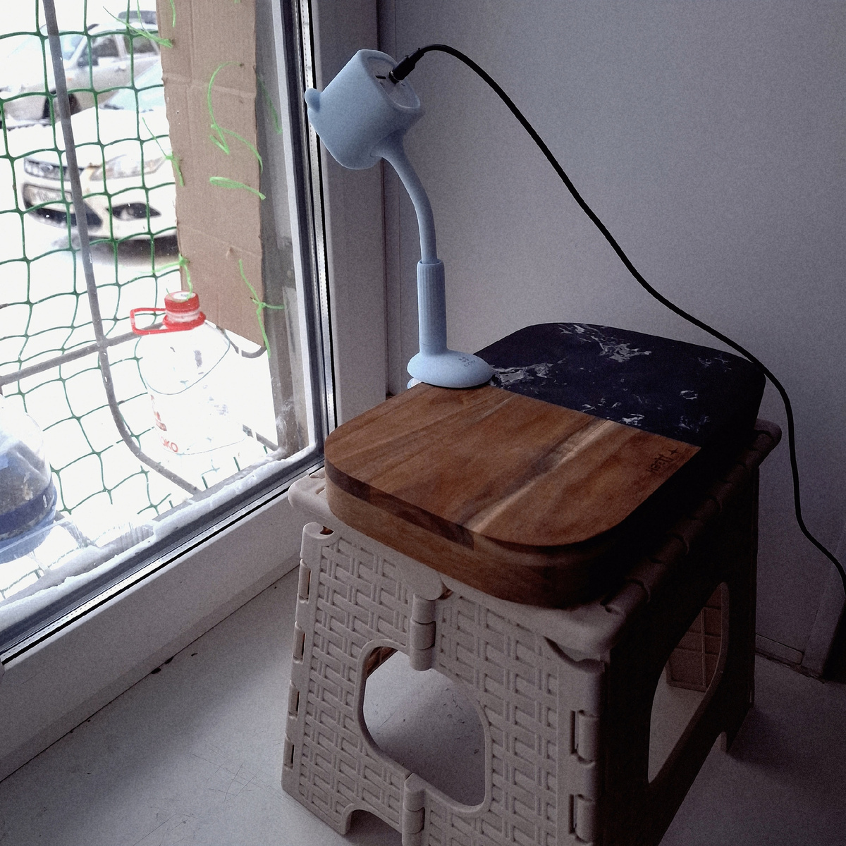 странное за окном - баррикады от голубей.