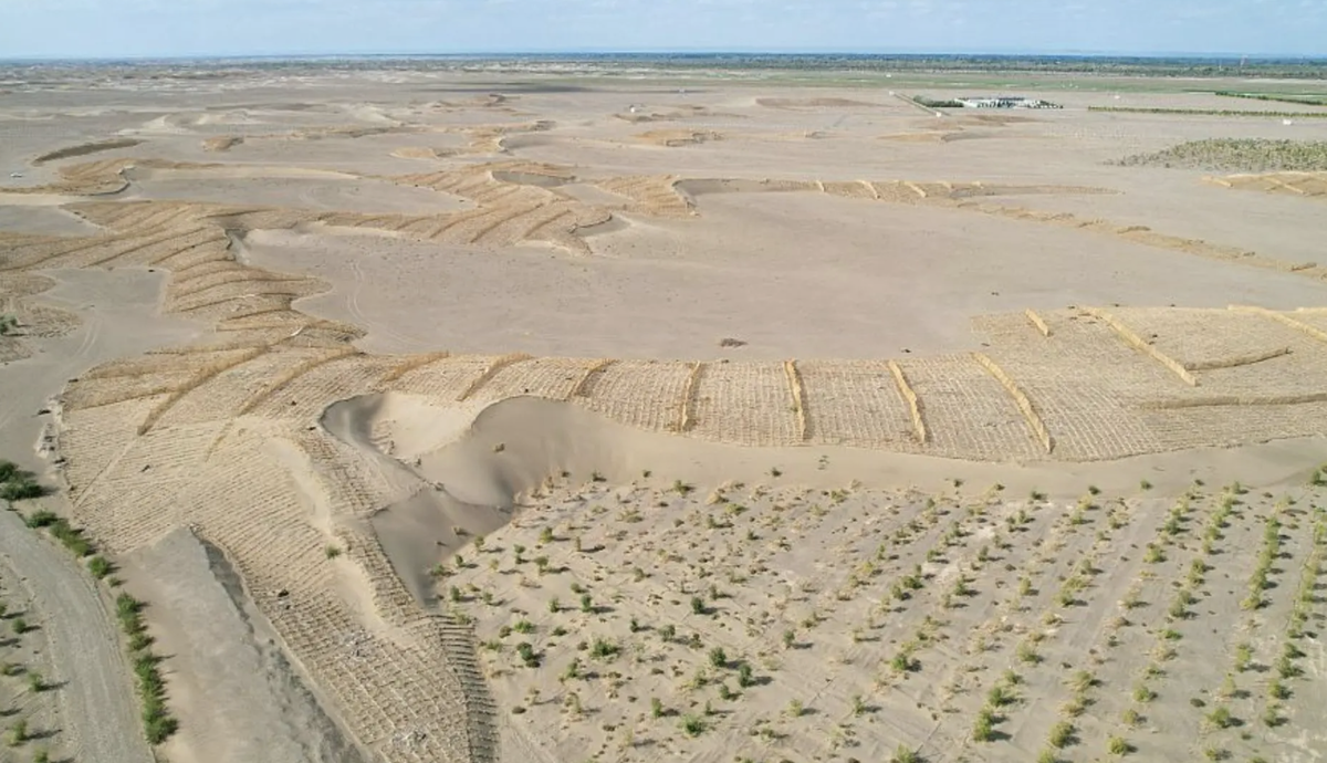 Травяные сетки, останавливающие движение песков